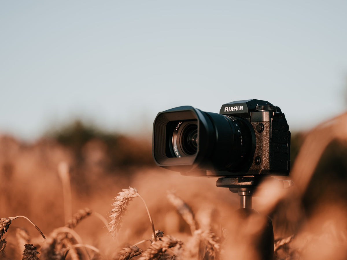Photographed on FUJIFILM X-H2