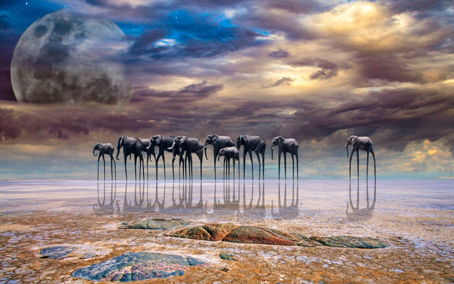 Stunning winning photographs announced at Africa Photo Awards