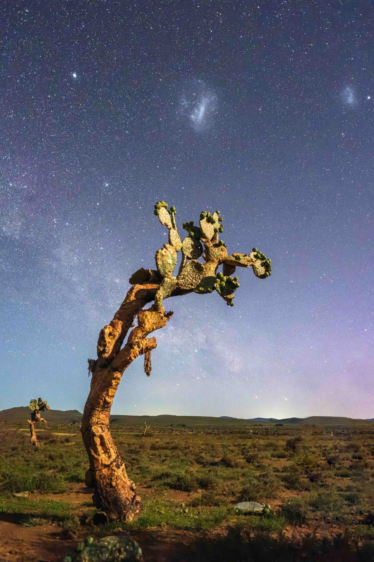USER EXPERIENCE: Landscape photographer Jon Kerrin on the Fujifilm X-T5 (and the 14mmF2.8)