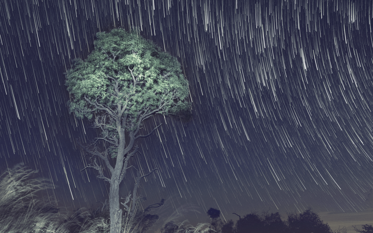 Timothy Griesel – Star Trails with an X-E1