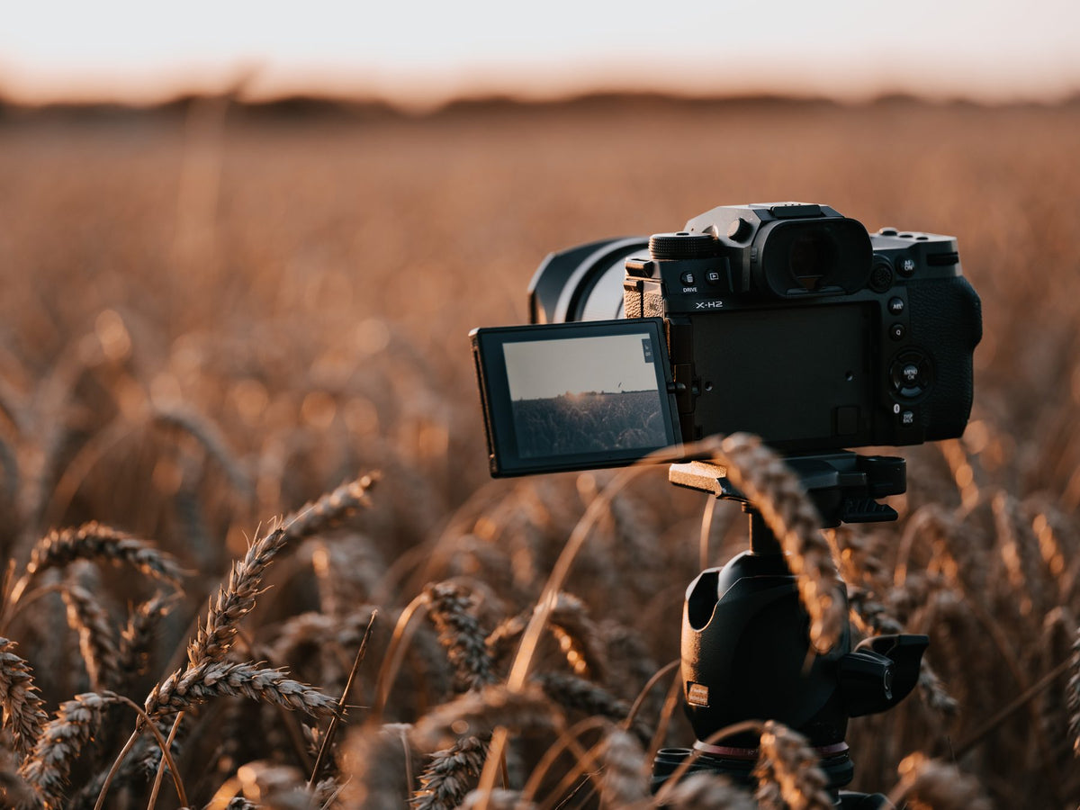 Photographed on FUJIFILM X-H2