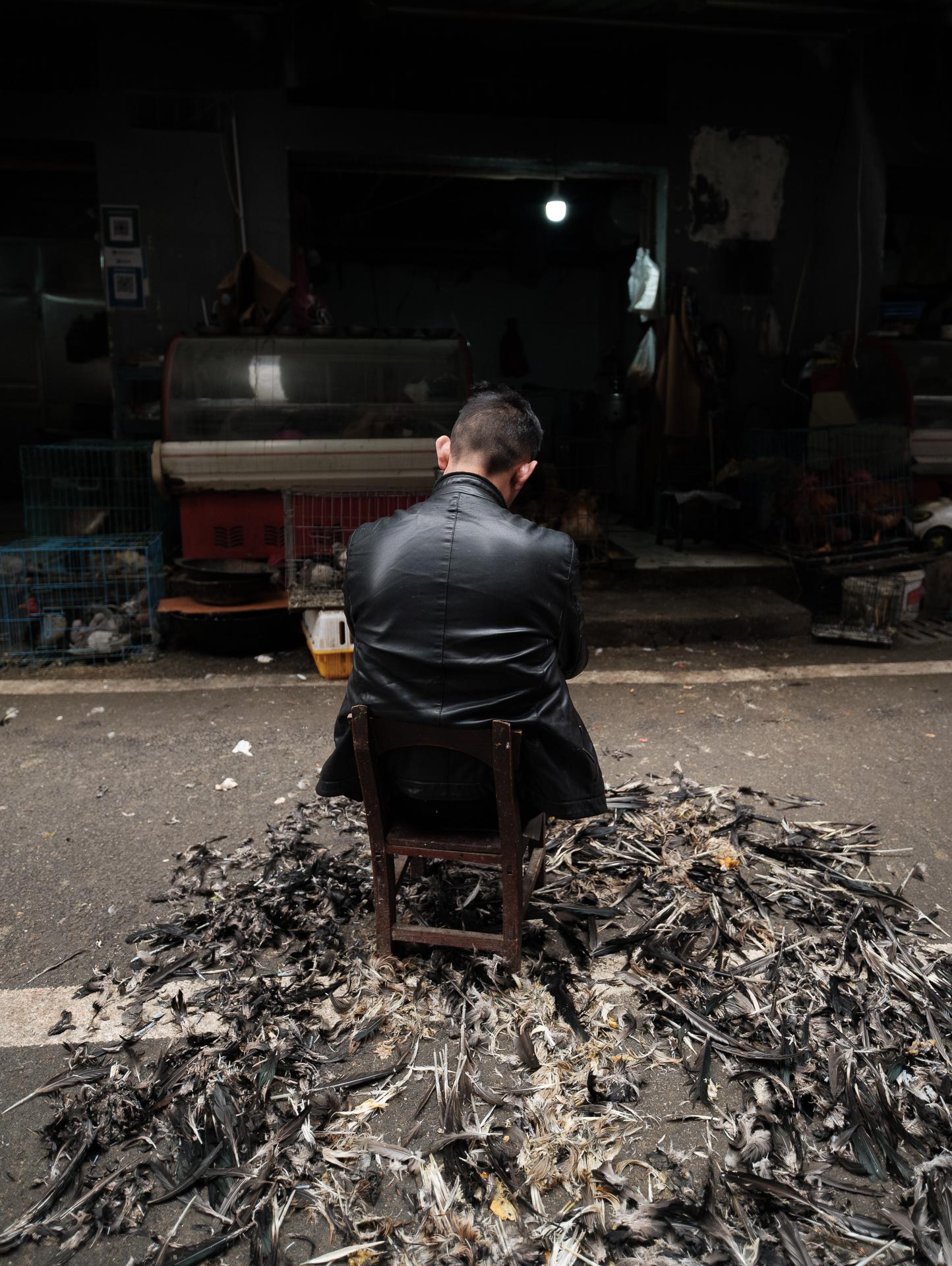9_Feathers at the Market