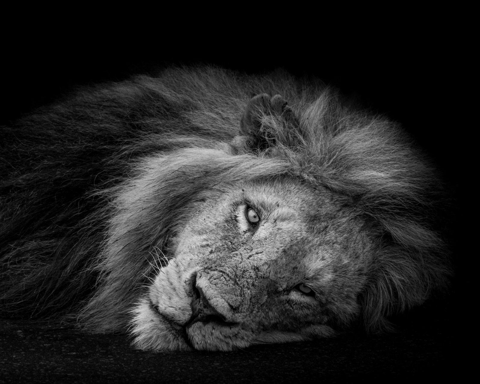 TAKE TEN: Kyle Blewitt