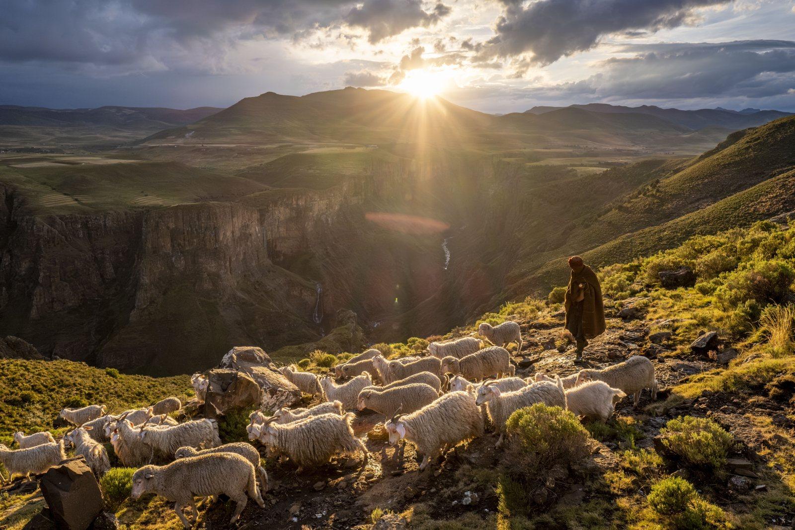 Take Ten: Tommy Trenchard